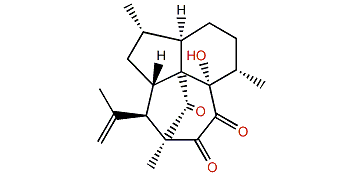 Elisapterosin D